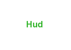 Hud