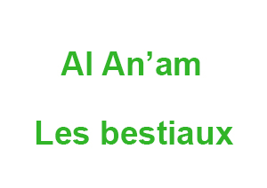 Al-Anam