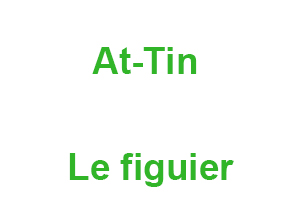 At-Tin